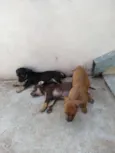 Sem nomes ainda