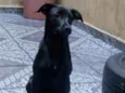 Churrasco e Amora
