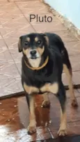 Pluto