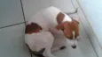 Mili
