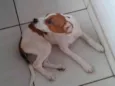 Mili