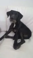 LULU