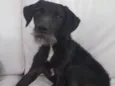 LULU