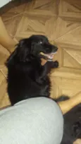 Preta
