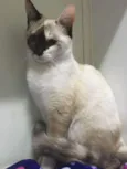 Glória