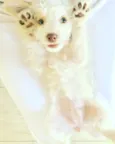 Helô (Heloísa)