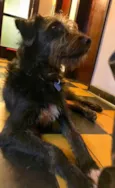 Jack