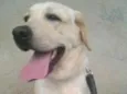 Xena