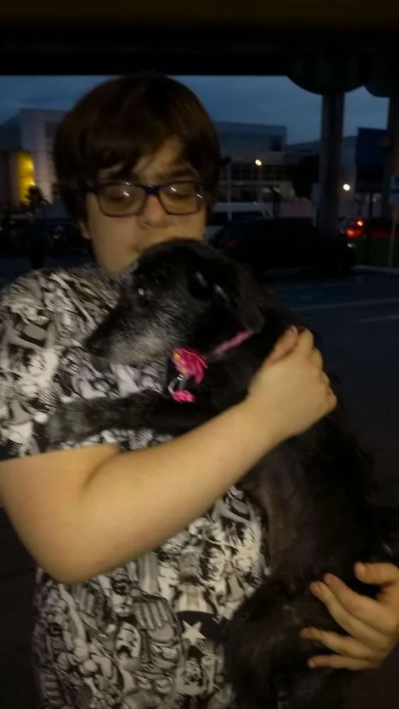 Cachorro ra a SRD idade 1 ano nome Sacha