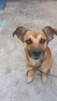 Chuvisco