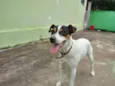 Bolt