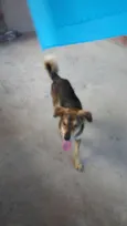 Rafa