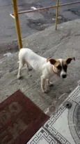 Dalila