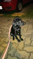 Lua