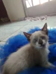 Sem.nome ainda