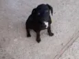 Supino