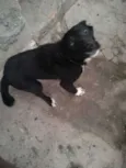 Neguinha