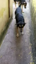 Lucky
