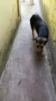 Lucky