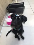 MAGALI