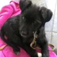 MAGALI