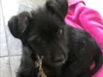 MAGALI