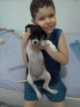 Luly