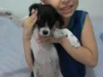 Luly