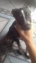 Ainda não tem