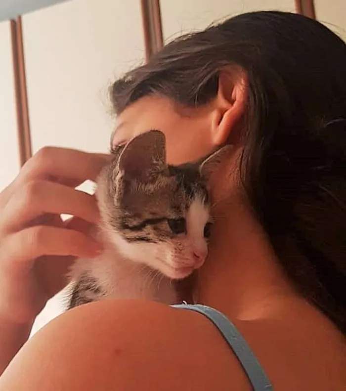 Gato ra a srd idade Abaixo de 2 meses nome pepeu
