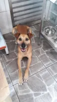 Catarina