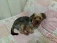 Teo