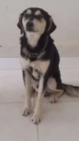 Raí