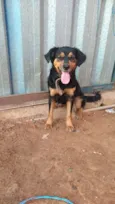 xuxa