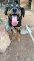xuxa