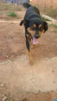 xuxa
