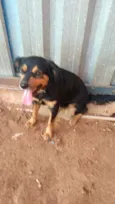 xuxa