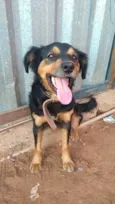 xuxa
