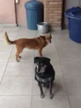 Meg e Maxx