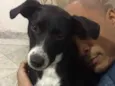 Jully