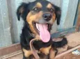 xuxa
