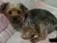 Teo