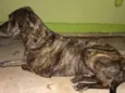 Manuela