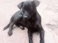 RAIMUNDINHA