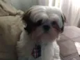 Théo 
