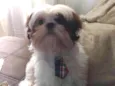 Théo 