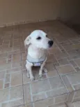 Zoe