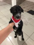 Chico