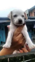 Não definido
