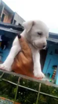 Não definido